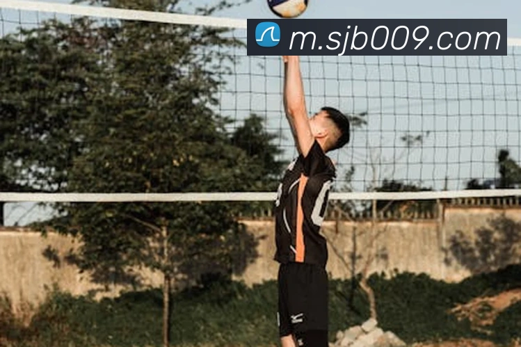 JBO竞博APP 封面图